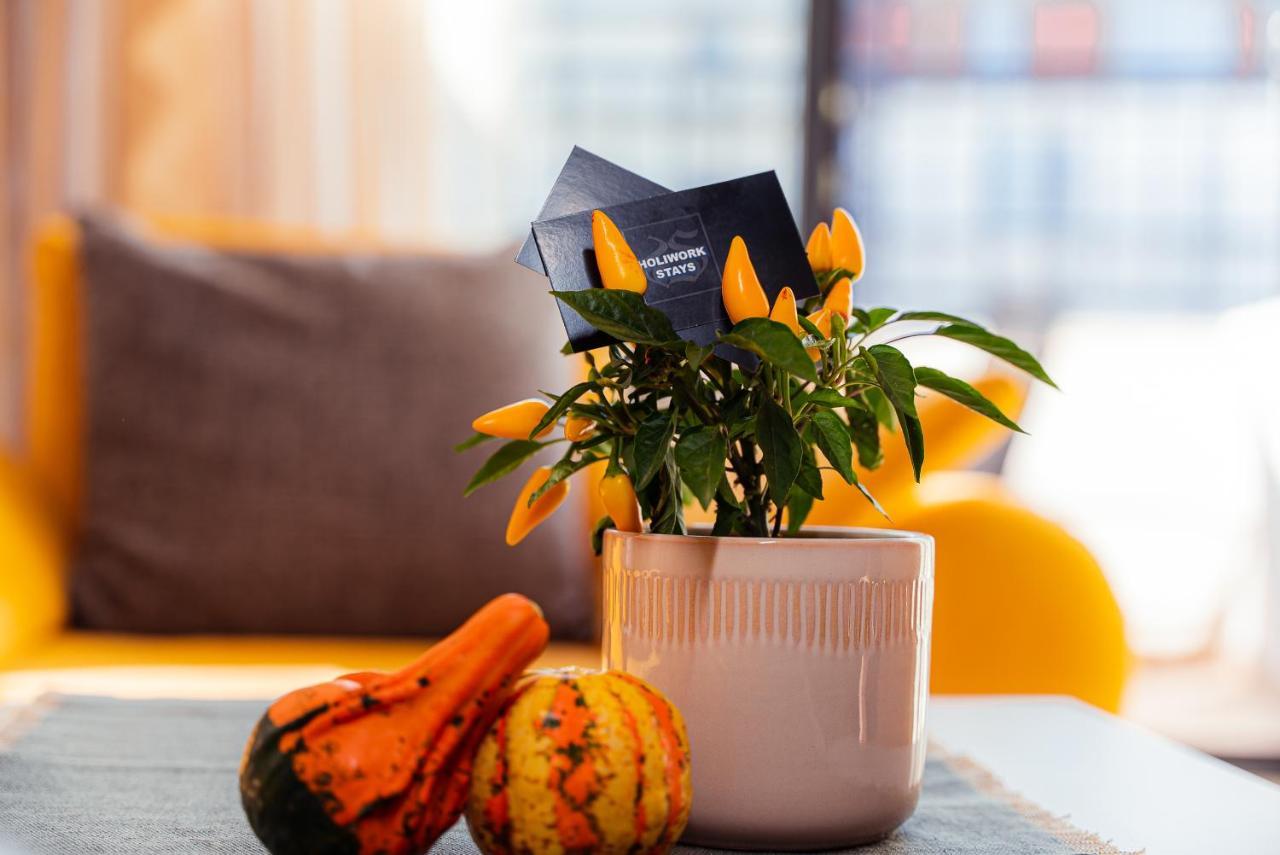 Pumpkin Spiced With Free Gym Pass And Office Setup Apartamento Sofía